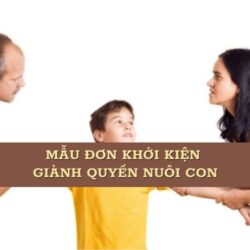 [2025] Mẫu đơn khởi kiện giành quyền nuôi con khiến Tòa khó từ chối