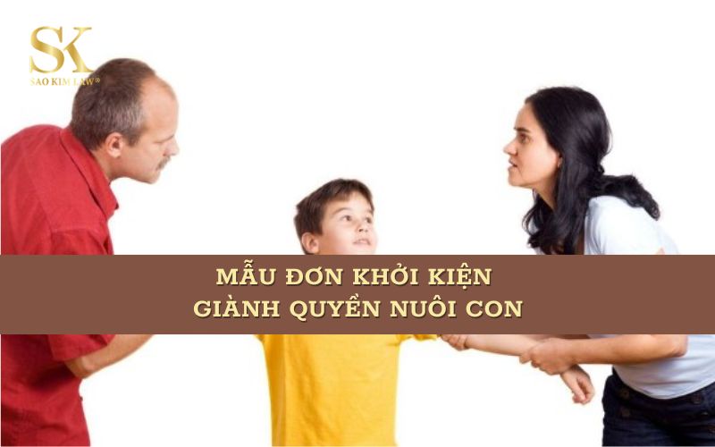 [2025] Mẫu đơn khởi kiện giành quyền nuôi con khiến Tòa khó từ chối
