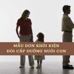 Mẫu đơn khởi kiện đòi cấp dưỡng nuôi con chuẩn luật mới 2025