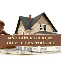 Mẫu đơn khởi kiện chia di sản thừa kế mới nhất kèm hướng dẫn viết chi tiết