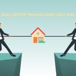 Tư vấn giải quyết tranh chấp quyền sử dụng đất 2025